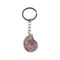 Natürliche Stein Fossil Anhänger Pendel Key Chain Auto Anhänger Großhandel